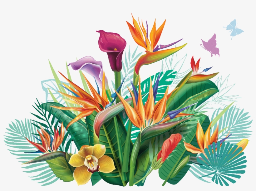 Sticker Eventail De Fleurs Tropicales Ambiance Sticker - Tropical Leaf, transparent png