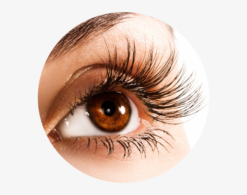 There Is A $20 Non-refundable Deposit Required Upon - Parts Of Body Eye, transparent png