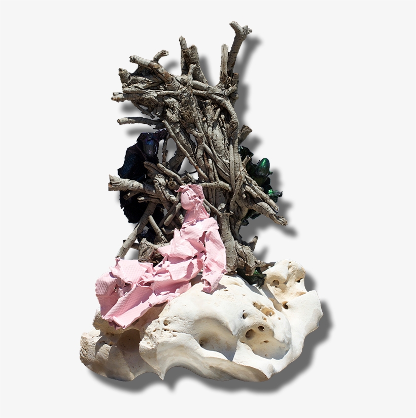 Susanna And The Elders, transparent png