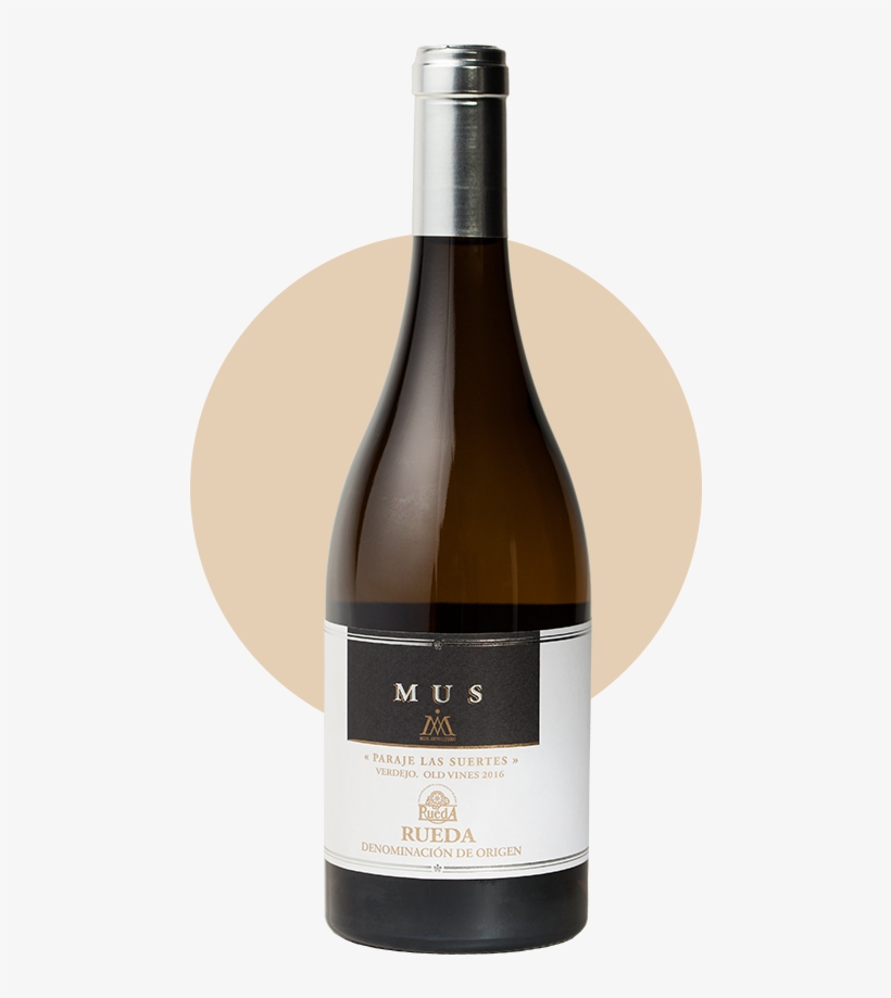 Descargar Ficha - Wine, transparent png