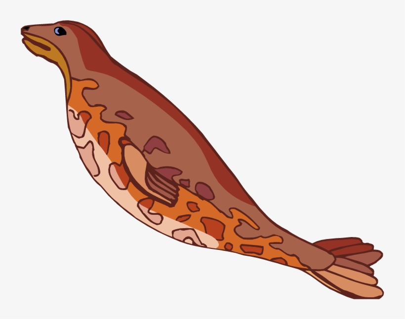 Harbor Seal Clipart 1, transparent png