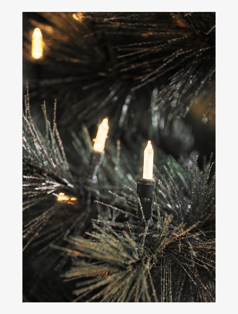 Led Light-set With 80 Bulbs - Kerstverlichting Kerstboom Binnen, transparent png