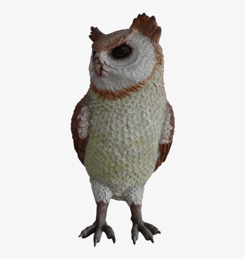 Great Horned Owl, transparent png