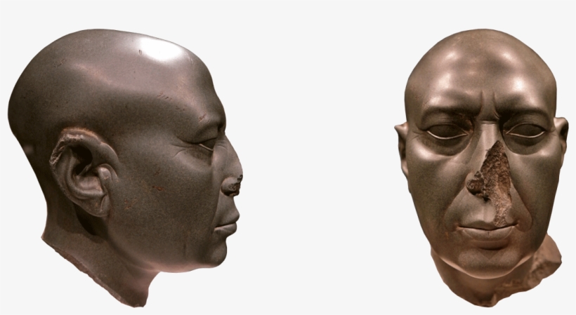 Since The Human Nose Is The Main External Respiratory - Missing Nose, transparent png