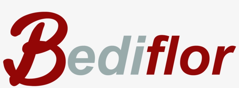 Bediflor Enviar Flores - Onemedifund, transparent png