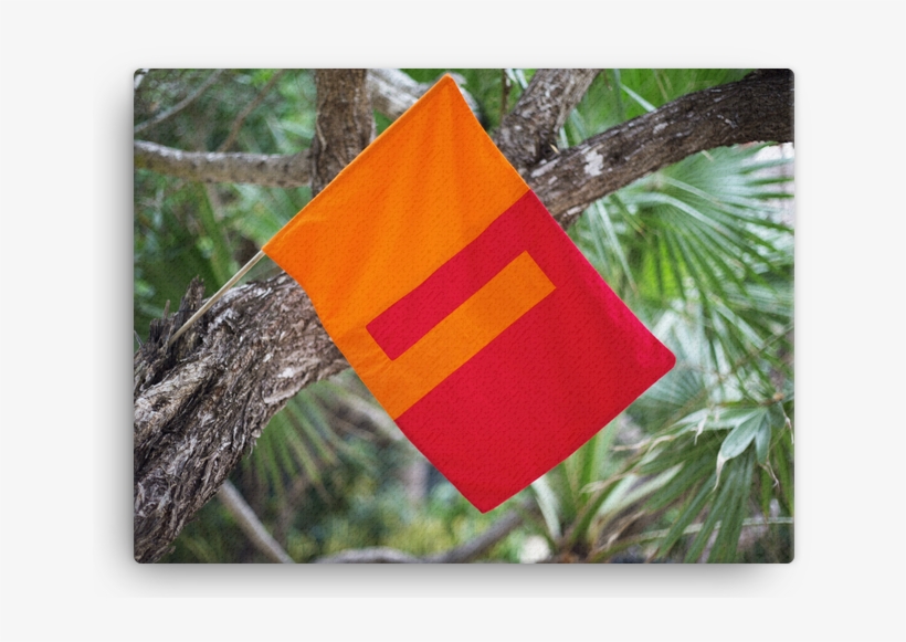 Intentions Change Reality - Flag, transparent png