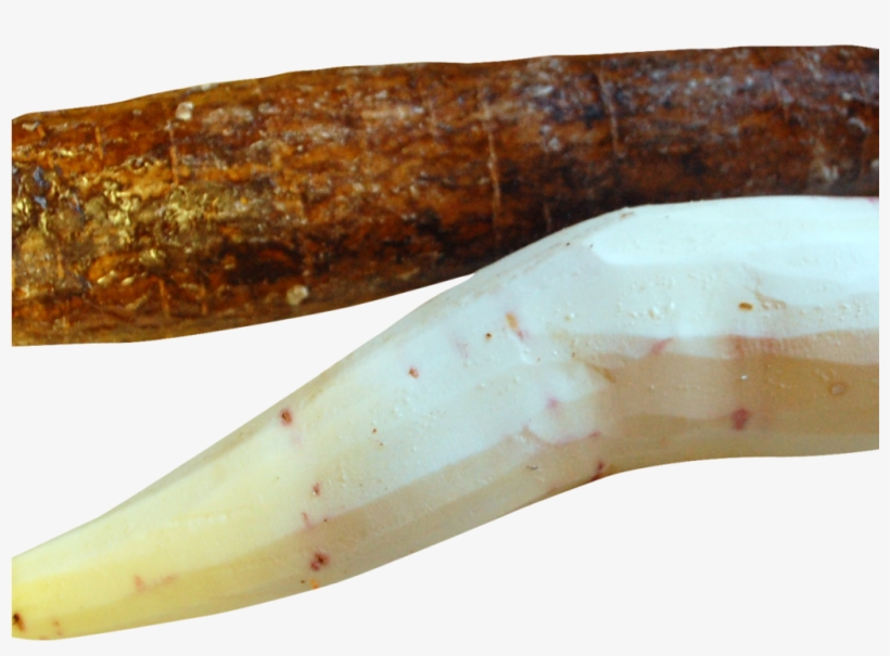 Cassava Peeled Png Image - Ivory, transparent png
