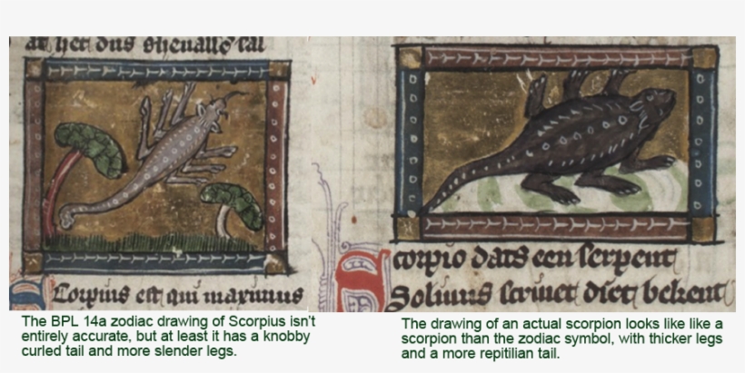 It Seems Possible That The Illustrators Of Bpl 14a - Sturgeon, transparent png