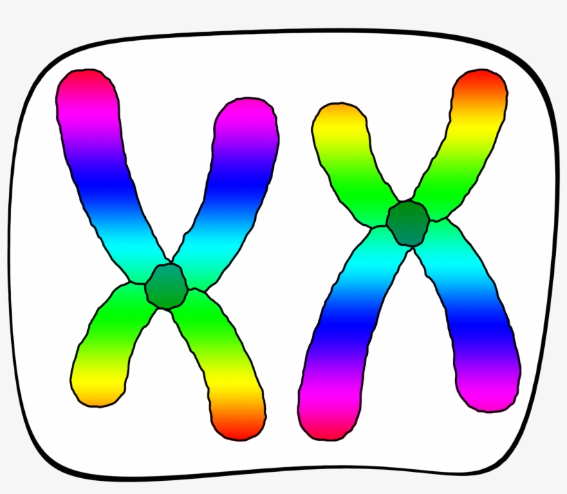 Clip Art, transparent png