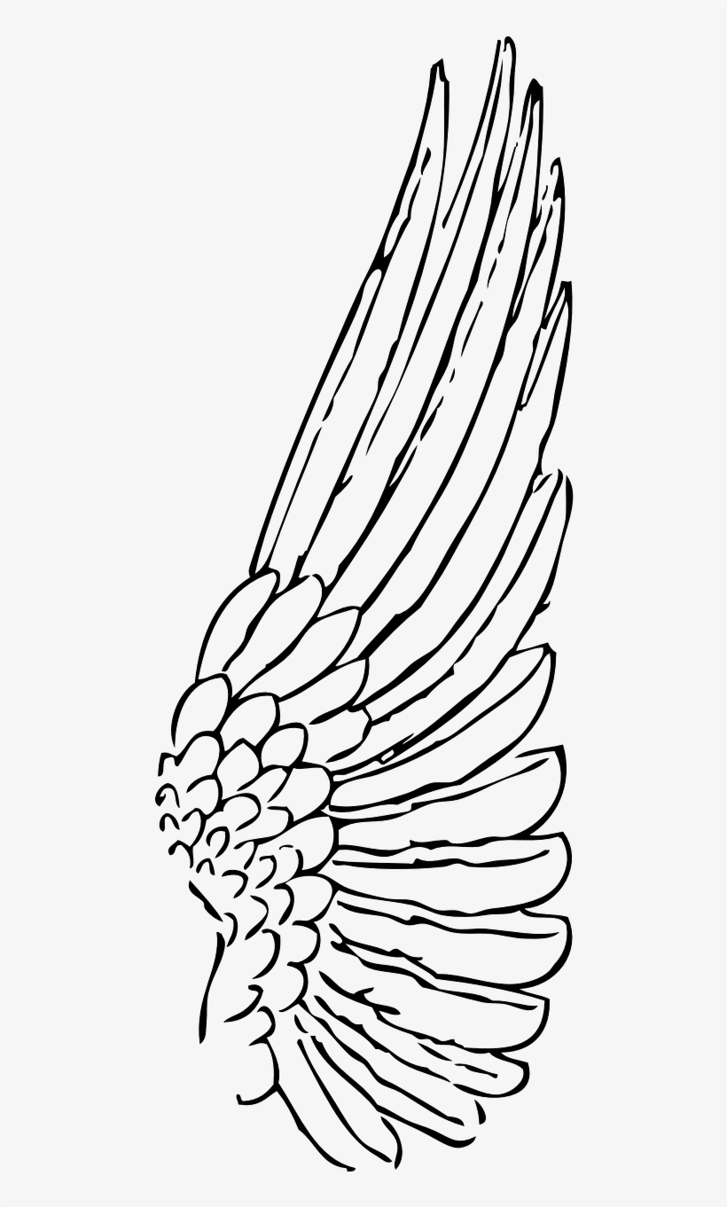 Wing Clip Art Black And White