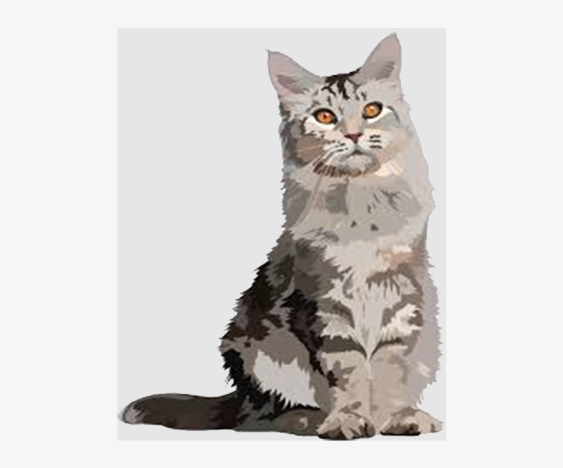 A Holiday Home For Cats - Domestic Short-haired Cat, transparent png