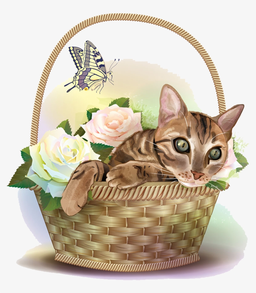 Cat, transparent png