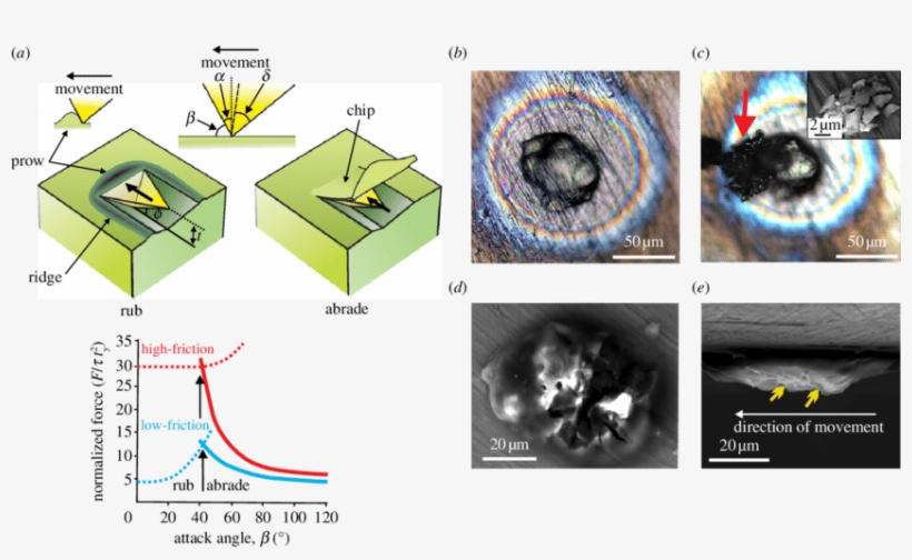 A Rigid Particle Sliding On A Surface Rubs Or Abrades - Diagram, transparent png