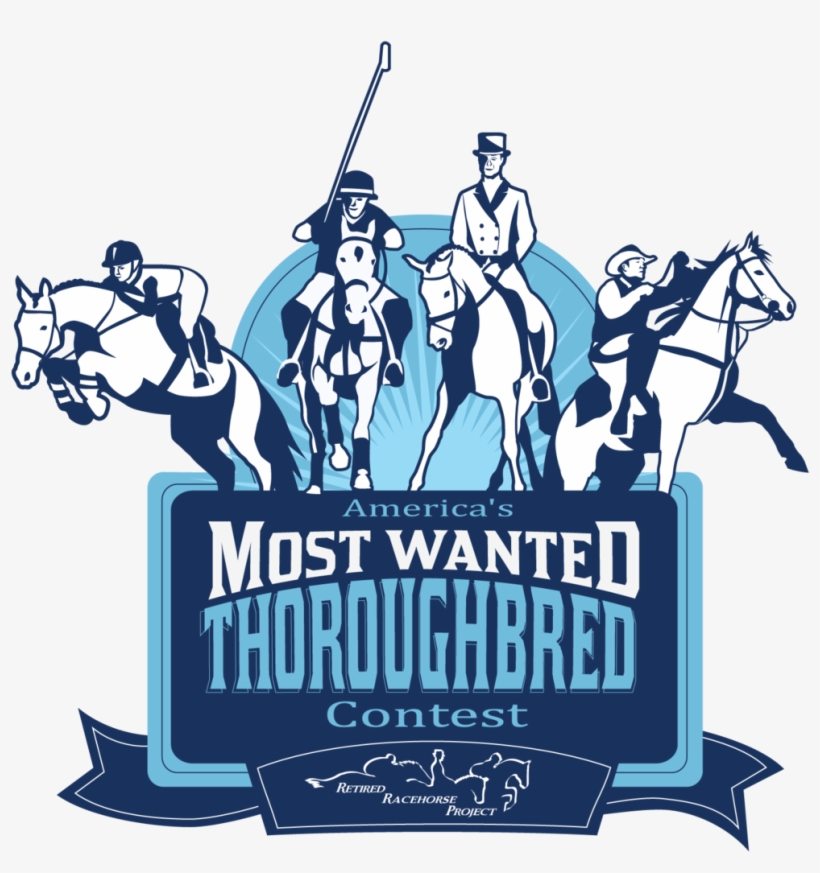 America's Most Wanted Thoroughbred Contest Launched - Illustration, transparent png