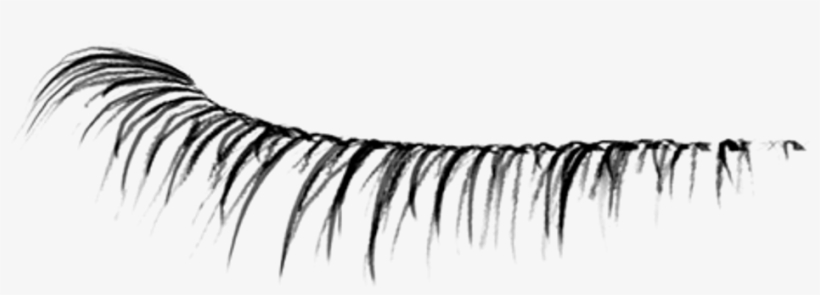 Eyelash Eyelashes Eyelashsticker Makeup Beauty Icon - Eyelash ...