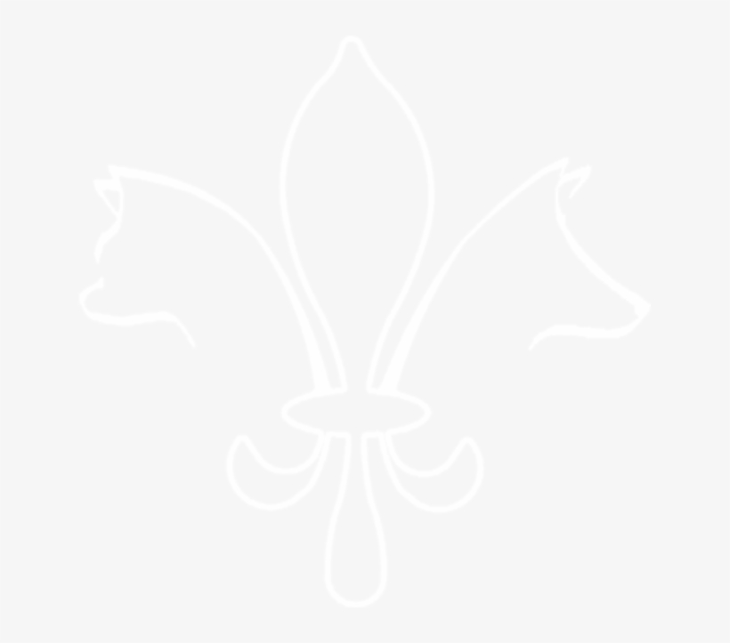 Johns Hopkins Logo White, transparent png