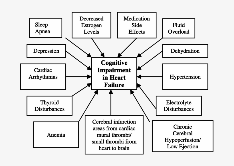 Etiologies Of Cognitive Impairment In Heart Failure - Diagram, transparent png