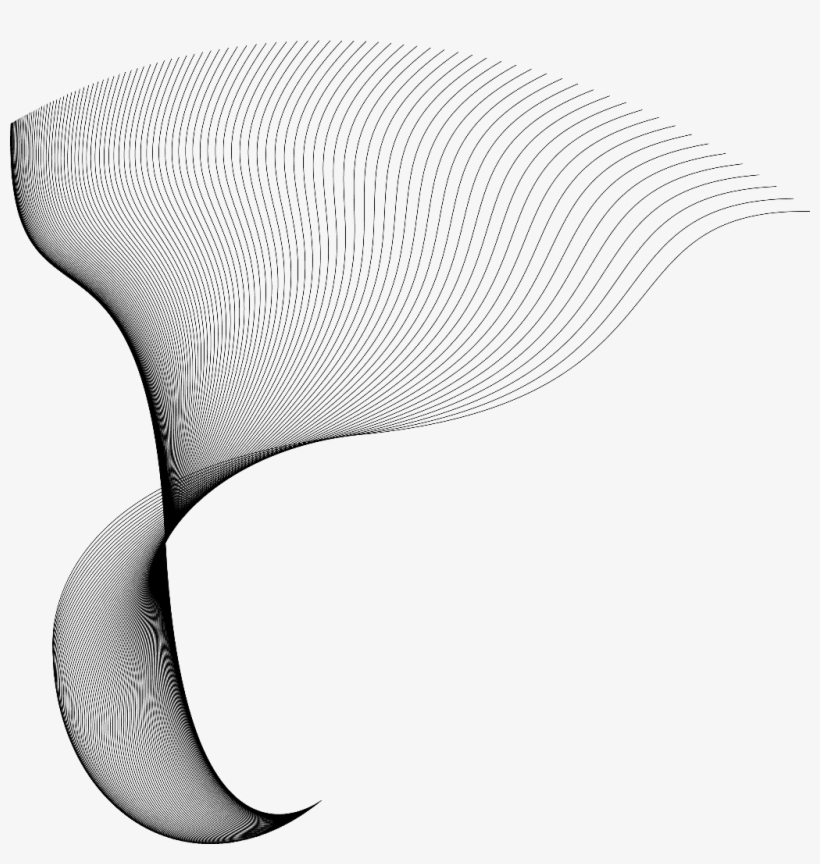 1024 X 1030 18 - Illustration, transparent png