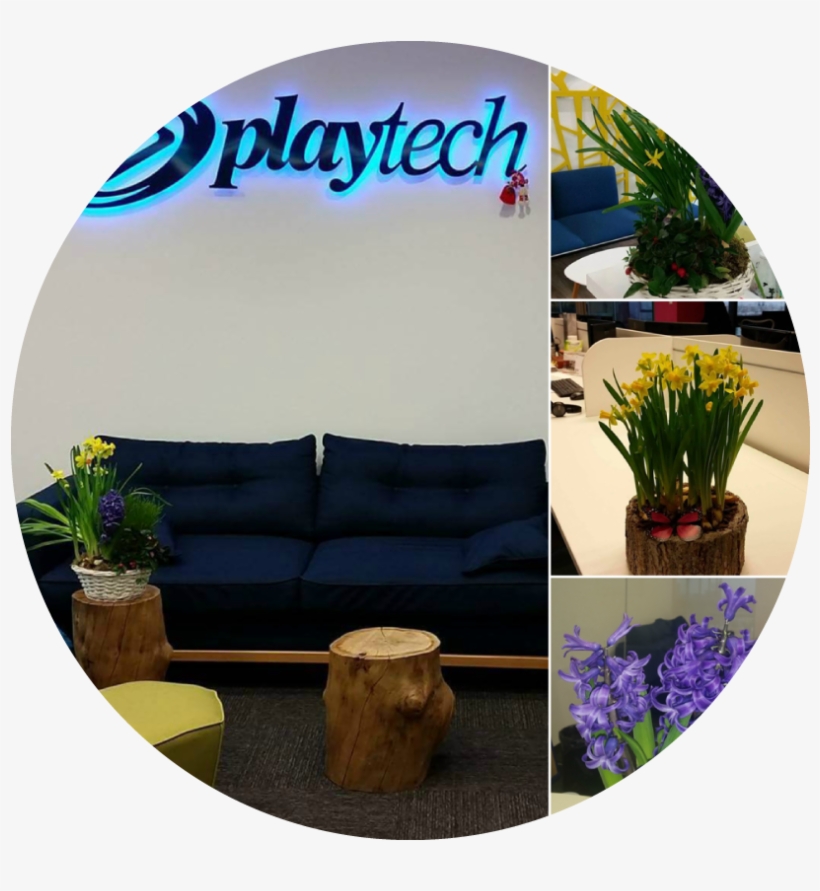 In 2017 The Office Of The Company Was Fully Renovated - Outdoor Furniture, transparent png