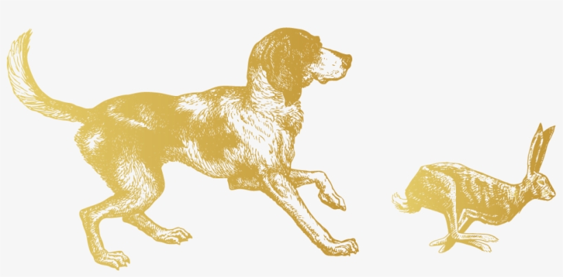 Hare Gold - Brittany, transparent png