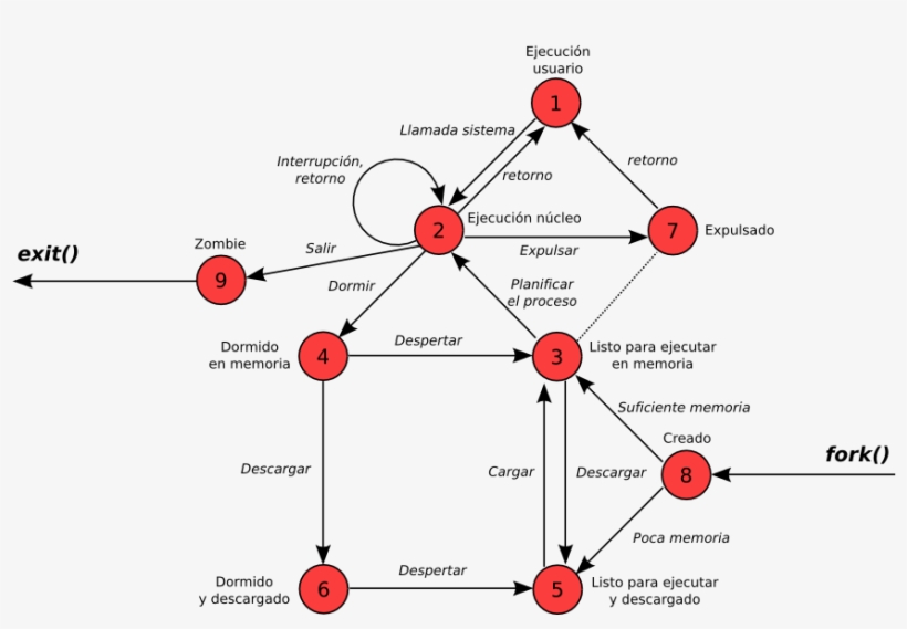 Modelo De Estados De Los Procesos En Unix - Estados De Transicion De Siete, transparent png