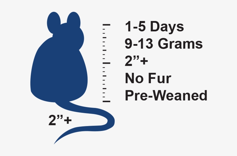 3 Days, transparent png