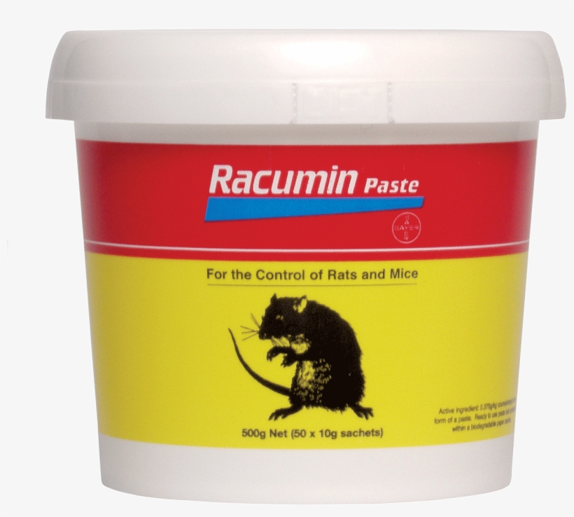 Related Products - Rat, transparent png