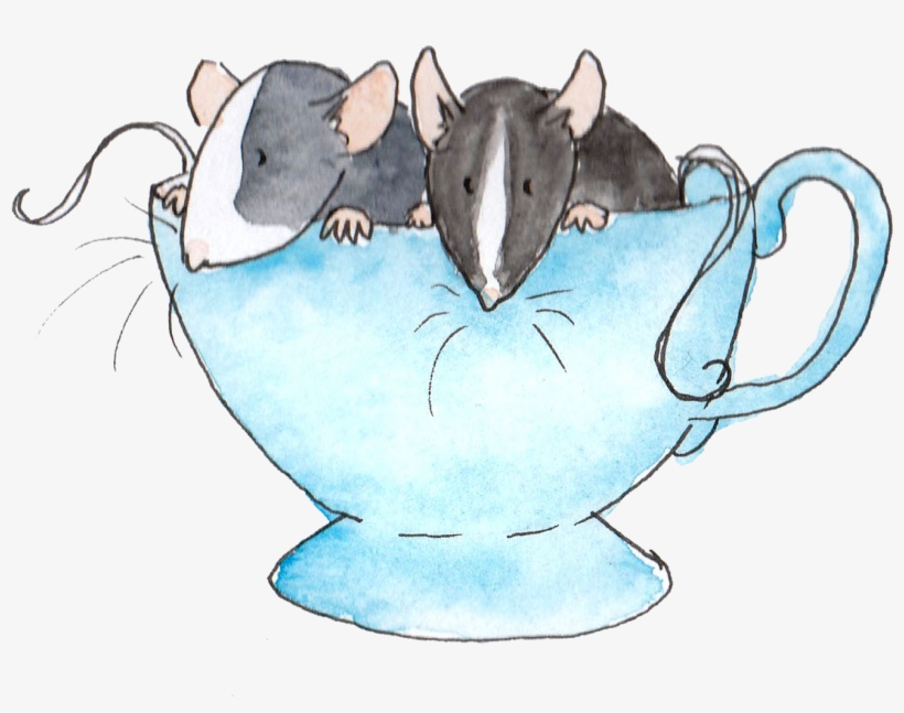 Or If You'd Like To Commission A Personal Image Of - Pet Rat Drawing, transparent png