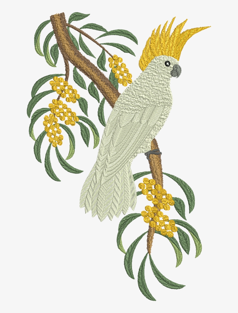 Cockatoo - 3 - 99 - Cockatoo Web, transparent png