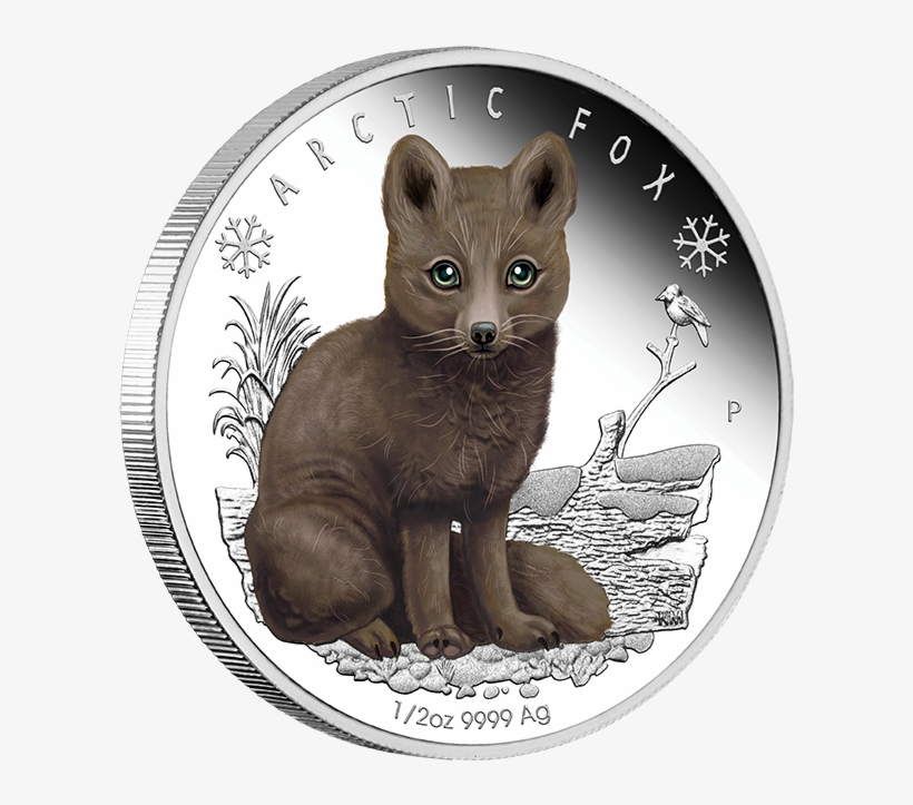 2017 1/2oz Silver Proof Coin - Polar Babies Coins, transparent png