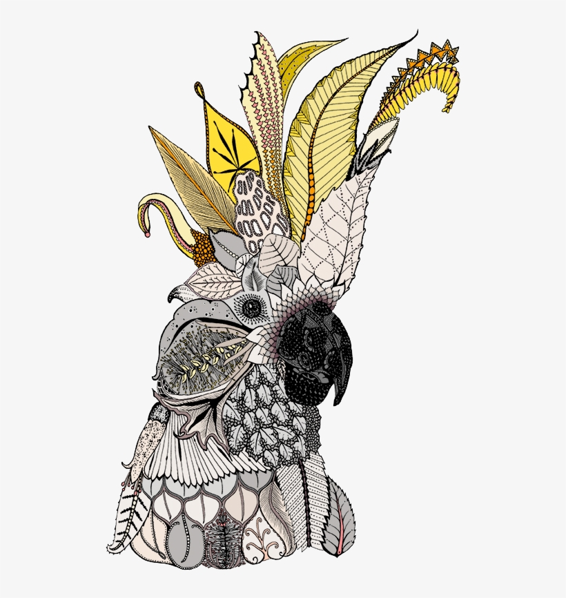 72dpi Png - Jpeg, transparent png