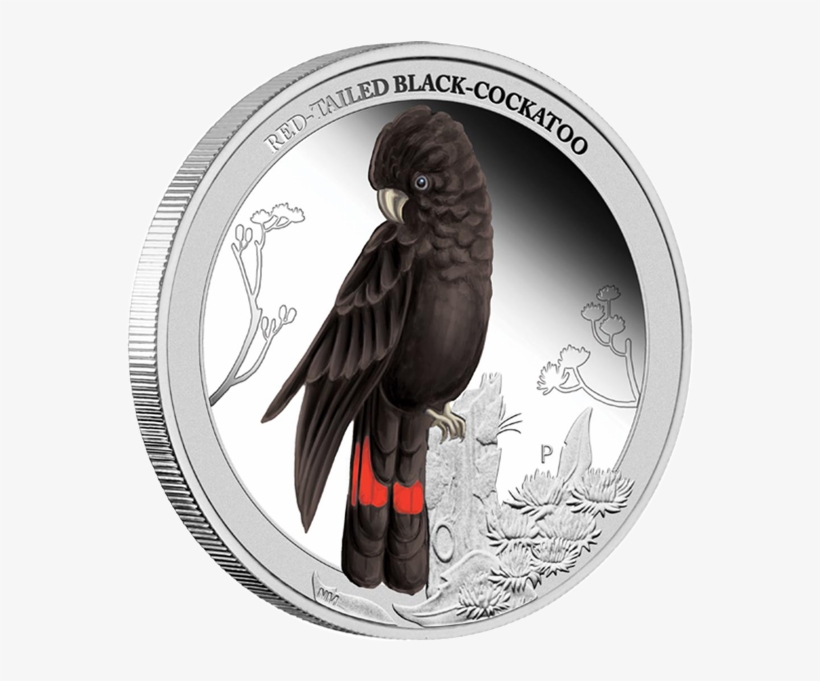 Australia 2013 50 Cents Red Tailed Black Cockatoo Birds - Red Tailed Black Cockatoo 5, transparent png