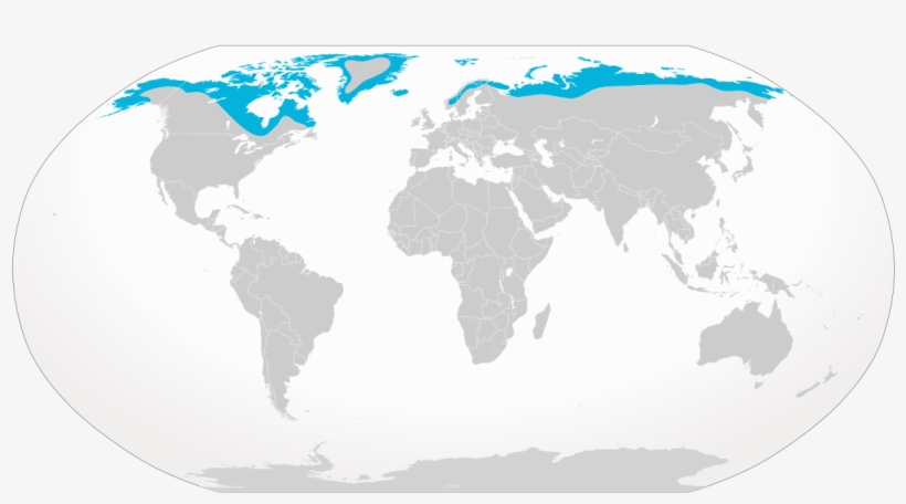 Arctic Fox Range Maps, transparent png