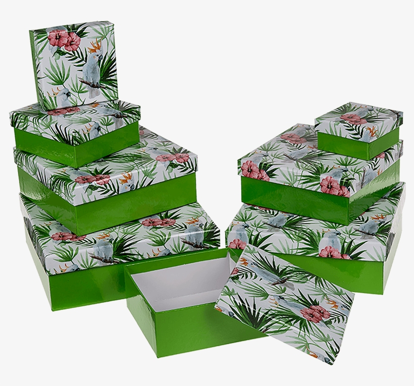 Green Gift Box With Cockatoo - Christmas Tree, transparent png