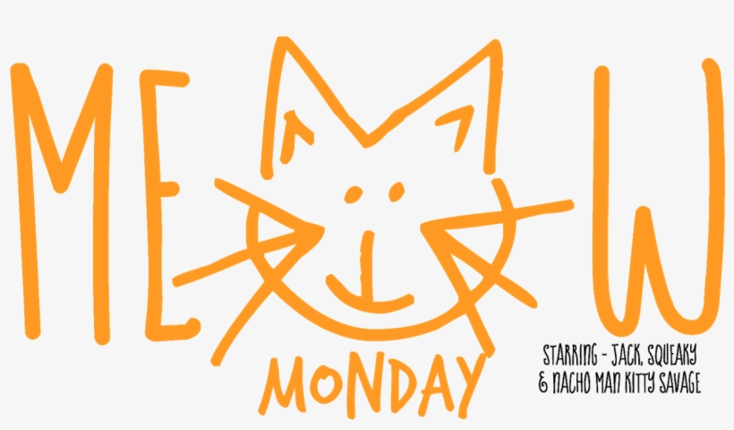 Pictures Of Cute Cats To Start Off Your Week, transparent png