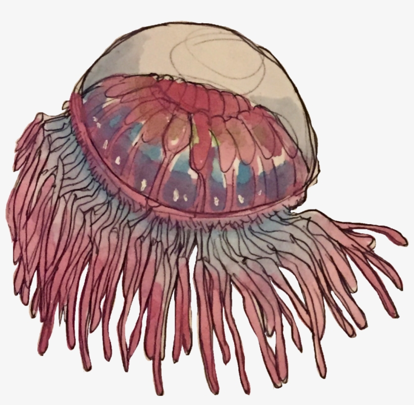 Some Transparent Deep Sea - Illustration, transparent png