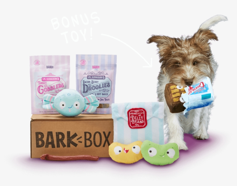 Barkbox, A Monthly Box Of Dog Goodies Starting At $22 - Yorkshire Terrier, transparent png