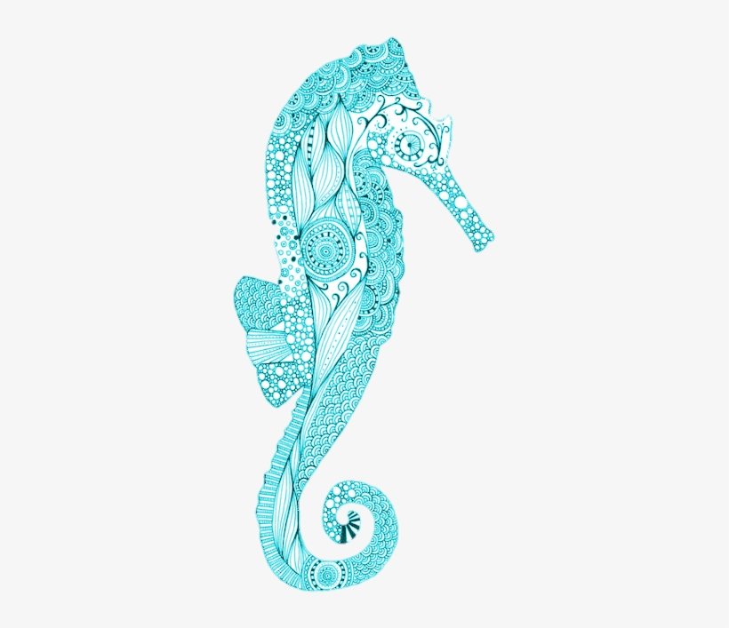 369 Images About S W E E T S E A On We Heart It - Northern Seahorse, transparent png
