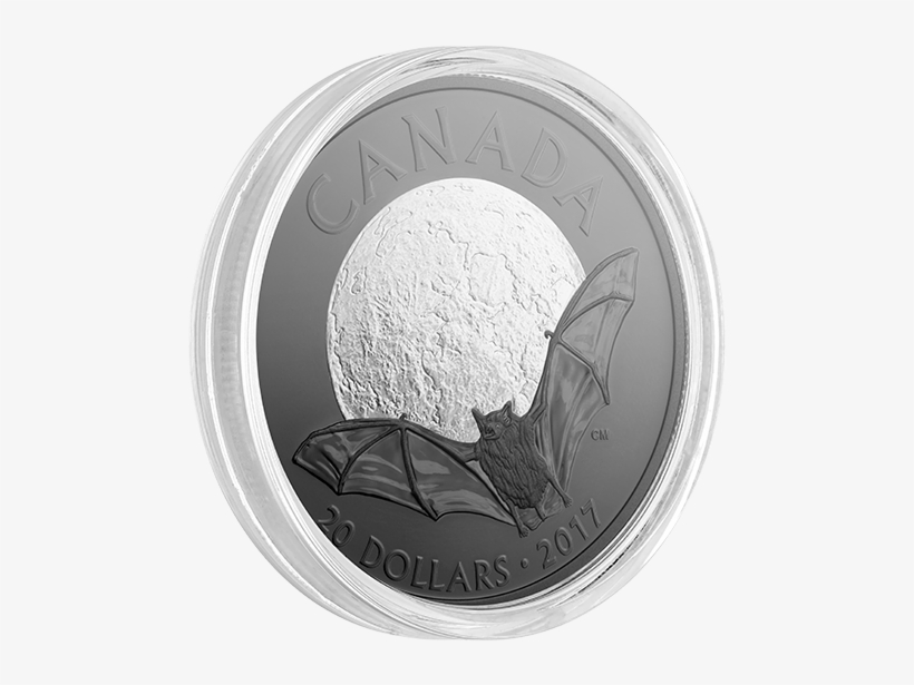 2017 Canada $20 Brown Bat - Quarter, transparent png