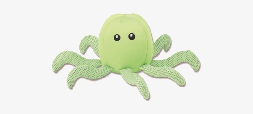 Octopus, transparent png