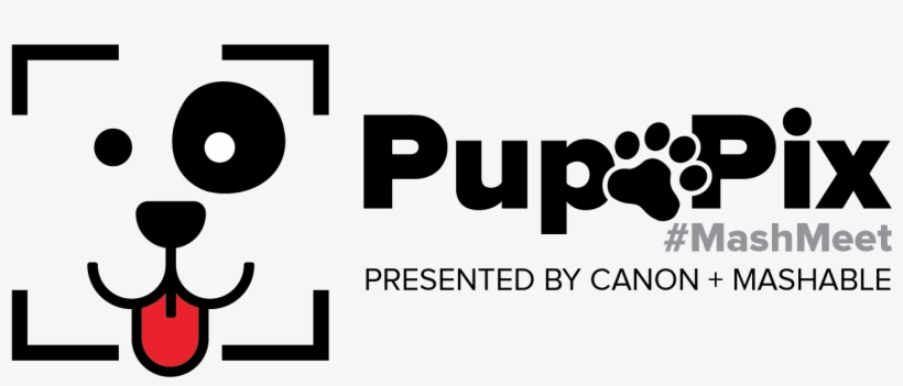 Pup Pix - Michigan College Of Engineering, transparent png