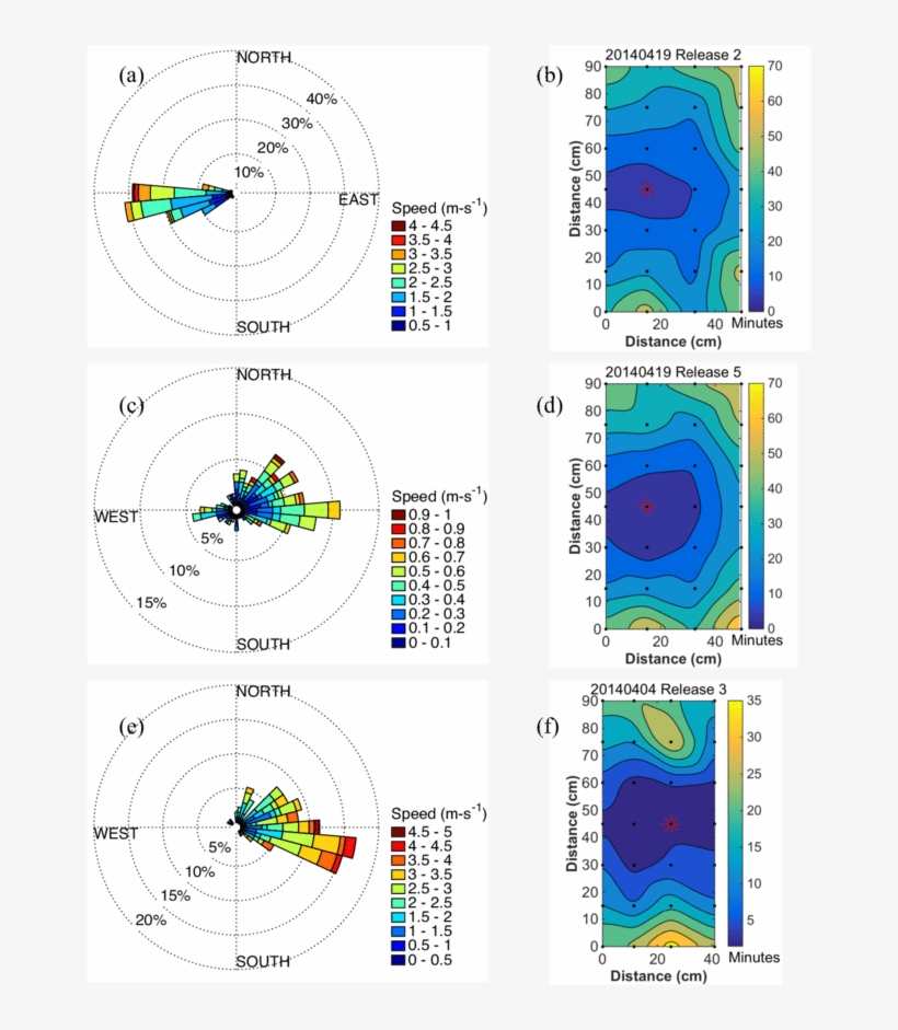 Download - Circle, transparent png