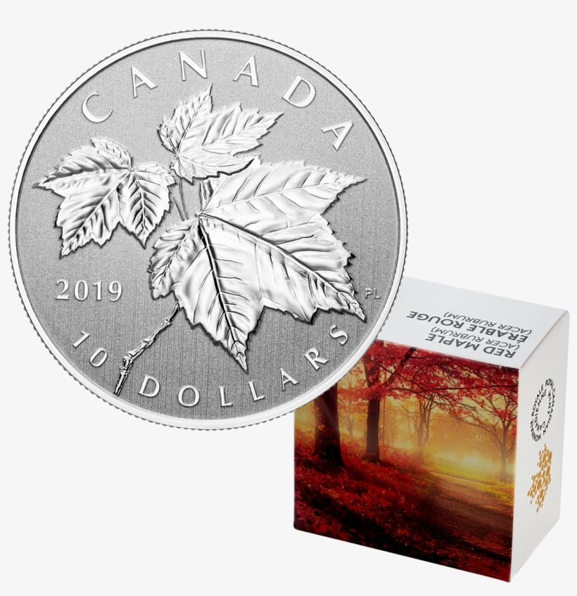 2019 1/2 Oz Canada Maple Leaf - Silver Coin, transparent png