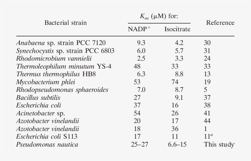 Bacterial Nadp Idh Michaelis Menten Constants Based - Bacteria Michaelis Menten, transparent png