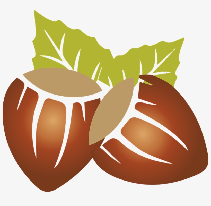 Hazelnut Clipart Brown Fruit - Frutos Secos Png, transparent png