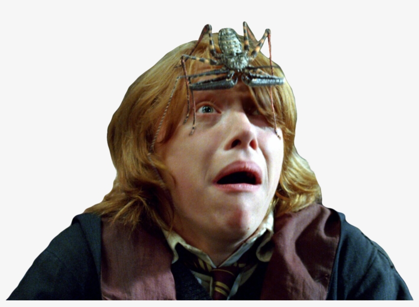 Transparent Ron Weasley, transparent png