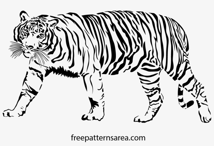 1246 X 788 9 - Bengal Tiger, transparent png