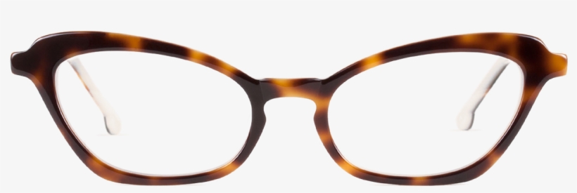 Celebrating The Diversity Of Faces & The Uniqueness - Glasses, transparent png