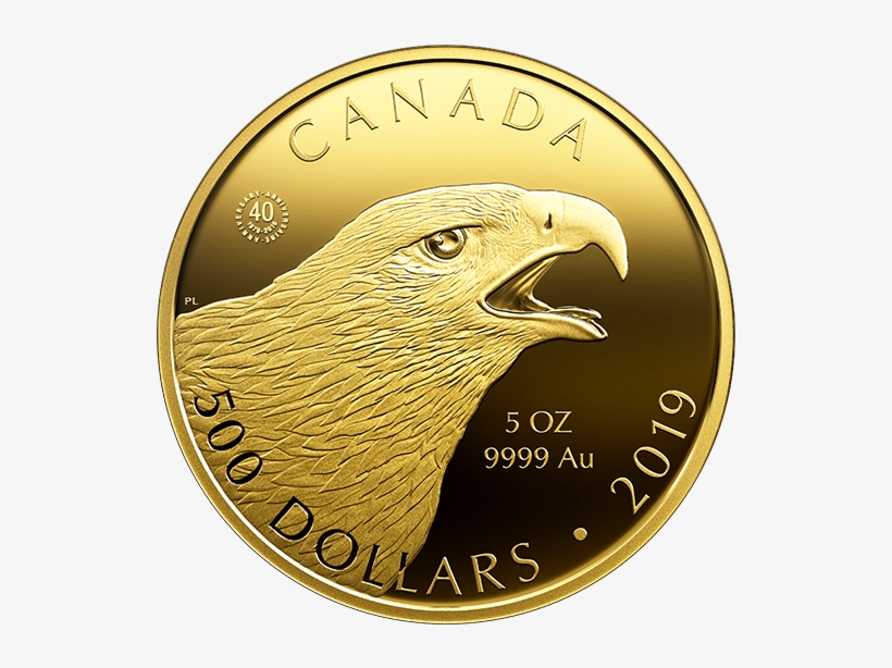 169472 Rev-570 - 2019 Gold Coin, transparent png