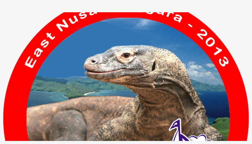 Pregnant Komodo Dragon 10x630 Png Download Pngkit Pregnant Komodo Dragon 10x630 Png Download Pngkit